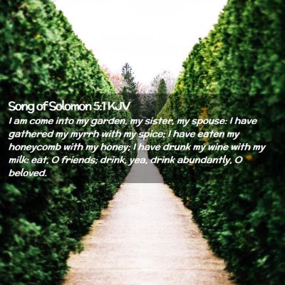 Picture 02 - Song of Solomon 5:1 KJV - I am come into my garden, my sister, my spouse: I - Bible Verse Picture