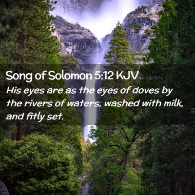 Picture 02 - Song of Solomon 5:12 KJV - His eyes are as the eyes of doves by the rivers - Bible Verse Picture