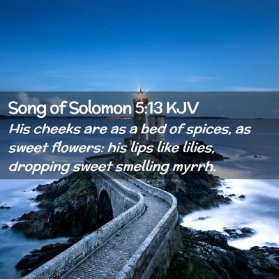 Picture 02 - Song of Solomon 5:13 KJV - His cheeks are as a bed of spices, as sweet - Bible Verse Picture