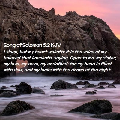 Picture 02 - Song of Solomon 5:2 KJV - I sleep, but my heart waketh: it is the voice of - Bible Verse Picture
