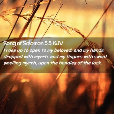 Picture 02 - Song of Solomon 5:5 KJV - I rose up to open to my beloved; and my hands - Bible Verse Picture