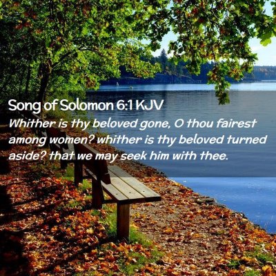 Picture 02 - Song of Solomon 6:1 KJV - Whither is thy beloved gone, O thou fairest among - Bible Verse Picture