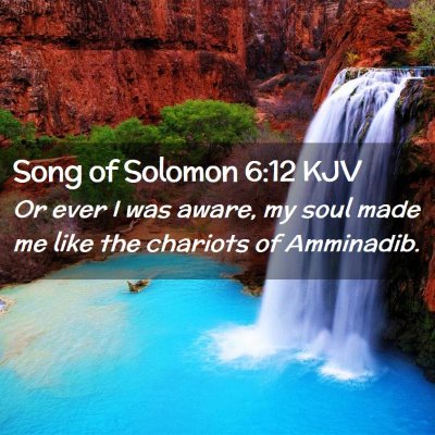 Picture 02 - Song of Solomon 6:12 KJV - Or ever I was aware, my soul made me like the - Bible Verse Picture