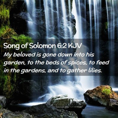 Picture 02 - Song of Solomon 6:2 KJV - My beloved is gone down into his garden, to the - Bible Verse Picture