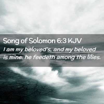 Picture 02 - Song of Solomon 6:3 KJV - I am my beloved's, and my beloved is mine: he - Bible Verse Picture