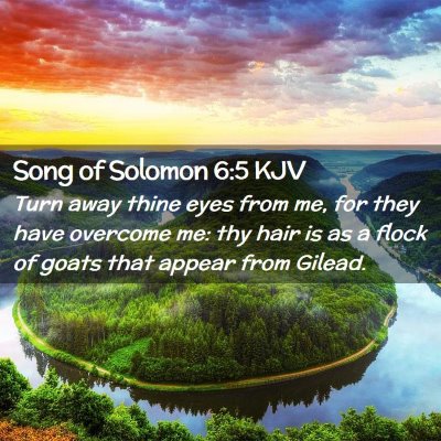 Picture 02 - Song of Solomon 6:5 KJV - Turn away thine eyes from me, for they have - Bible Verse Picture