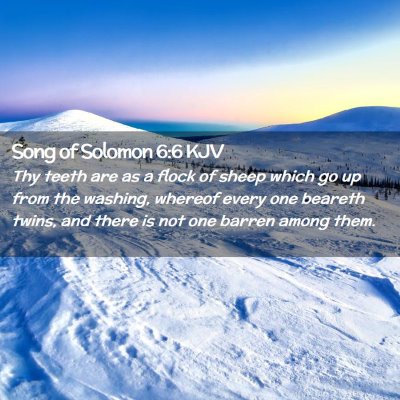 Picture 02 - Song of Solomon 6:6 KJV - Thy teeth are as a flock of sheep which go up - Bible Verse Picture