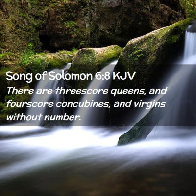 Picture 02 - Song of Solomon 6:8 KJV - There are threescore queens, and fourscore - Bible Verse Picture