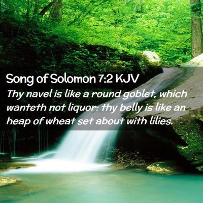 Picture 02 - Song of Solomon 7:2 KJV - Thy navel is like a round goblet, which wanteth - Bible Verse Picture