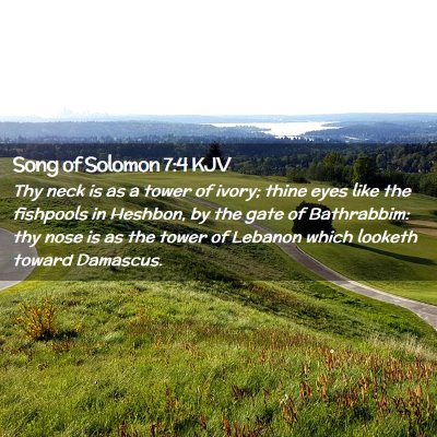 Picture 02 - Song of Solomon 7:4 KJV - Thy neck is as a tower of ivory; thine eyes like - Bible Verse Picture