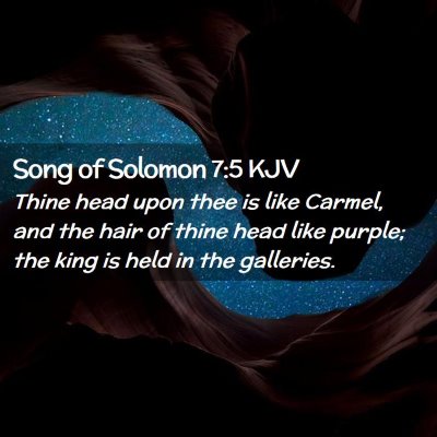 Picture 02 - Song of Solomon 7:5 KJV - Thine head upon thee is like Carmel, and the hair - Bible Verse Picture