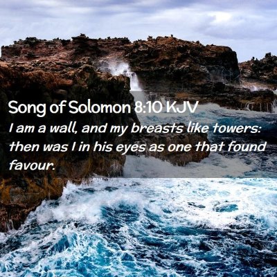 Picture 02 - Song of Solomon 8:10 KJV - I am a wall, and my breasts like towers: then was - Bible Verse Picture