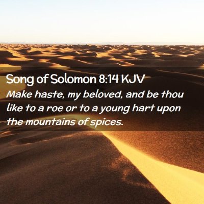 Picture 02 - Song of Solomon 8:14 KJV - Make haste, my beloved, and be thou like to a roe - Bible Verse Picture