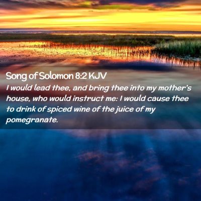 Picture 02 - Song of Solomon 8:2 KJV - I would lead thee, and bring thee into my - Bible Verse Picture
