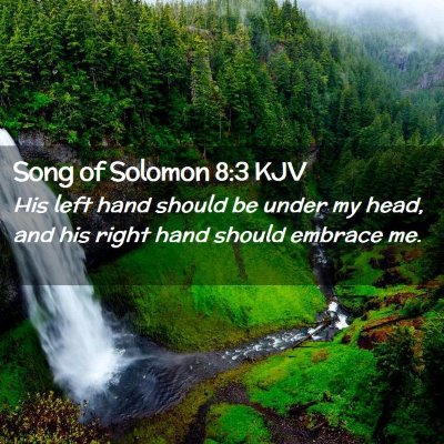 Picture 02 - Song of Solomon 8:3 KJV - His left hand should be under my head, and his - Bible Verse Picture