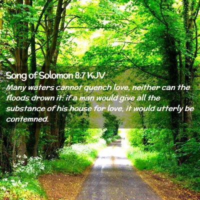 Picture 02 - Song of Solomon 8:7 KJV - Many waters cannot quench love, neither can the - Bible Verse Picture