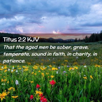 Picture 02 - Titus 2:2 KJV - That the aged men be sober, grave, temperate, - Bible Verse Picture