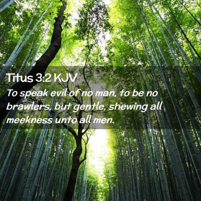 Picture 02 - Titus 3:2 KJV - To speak evil of no man, to be no brawlers, but - Bible Verse Picture