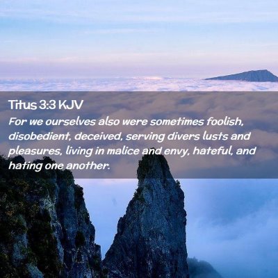 Picture 02 - Titus 3:3 KJV - For we ourselves also were sometimes foolish, - Bible Verse Picture