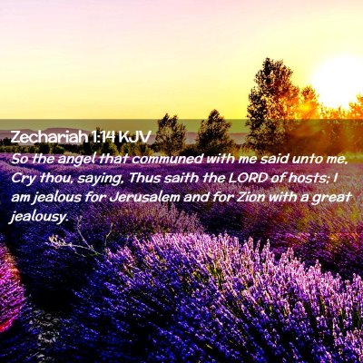 Picture 02 - Zechariah 1:14 KJV - So the angel that communed with me said unto me, - Bible Verse Picture