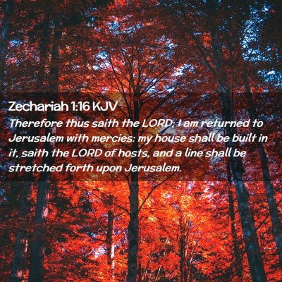 Picture 02 - Zechariah 1:16 KJV - Therefore thus saith the LORD; I am returned to - Bible Verse Picture