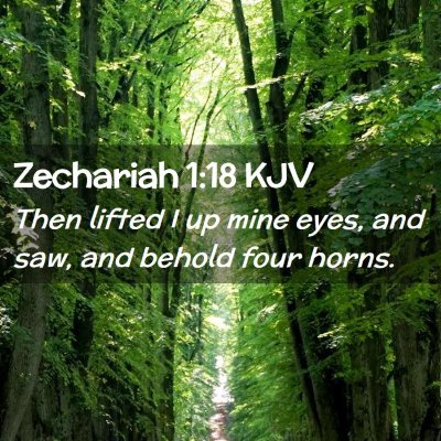 Picture 02 - Zechariah 1:18 KJV - Then lifted I up mine eyes, and saw, and behold - Bible Verse Picture