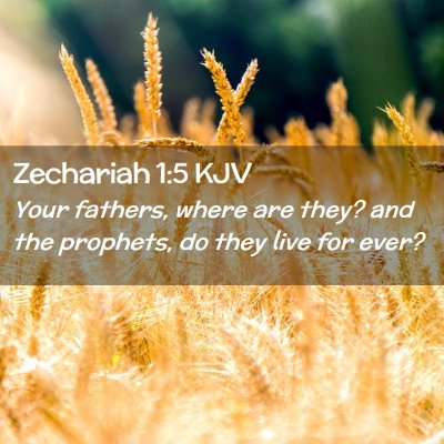 Picture 02 - Zechariah 1:5 KJV - Your fathers, where are they? and the prophets, - Bible Verse Picture