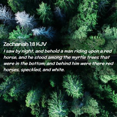 Picture 02 - Zechariah 1:8 KJV - I saw by night, and behold a man riding upon a - Bible Verse Picture