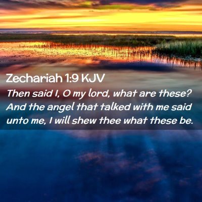 Picture 02 - Zechariah 1:9 KJV - Then said I, O my lord, what are these? And the - Bible Verse Picture