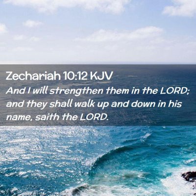 Picture 02 - Zechariah 10:12 KJV - And I will strengthen them in the LORD; and they - Bible Verse Picture