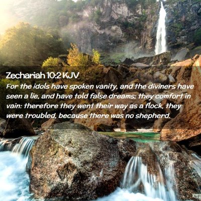 Picture 02 - Zechariah 10:2 KJV - For the idols have spoken vanity, and the - Bible Verse Picture