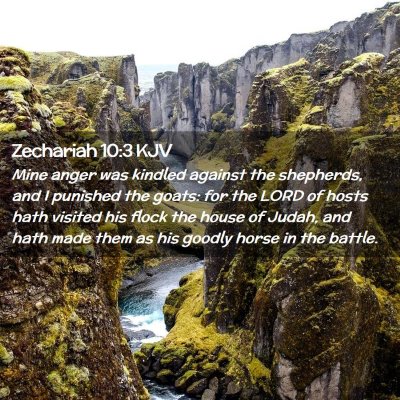 Picture 02 - Zechariah 10:3 KJV - Mine anger was kindled against the shepherds, and - Bible Verse Picture