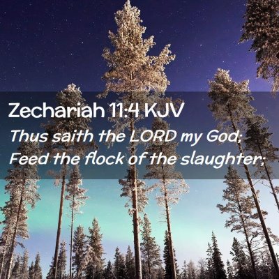 Picture 02 - Zechariah 11:4 KJV - Thus saith the LORD my God; Feed the flock of the - Bible Verse Picture