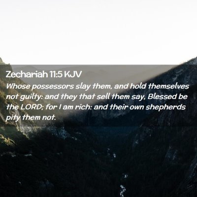 Picture 02 - Zechariah 11:5 KJV - Whose possessors slay them, and hold themselves - Bible Verse Picture