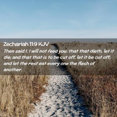 Picture 02 - Zechariah 11:9 KJV - Then said I, I will not feed you: that that - Bible Verse Picture