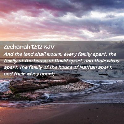 Picture 02 - Zechariah 12:12 KJV - And the land shall mourn, every family apart; the - Bible Verse Picture
