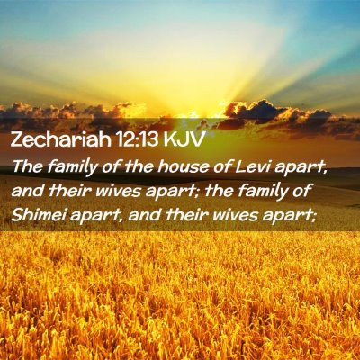 Picture 02 - Zechariah 12:13 KJV - The family of the house of Levi apart, and their - Bible Verse Picture
