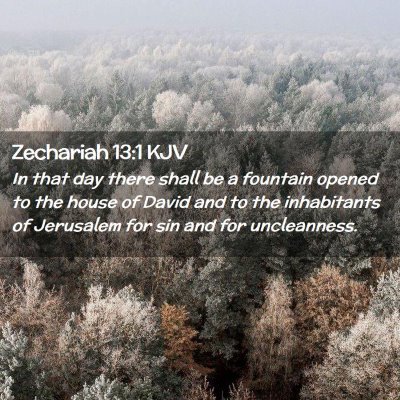 Picture 02 - Zechariah 13:1 KJV - In that day there shall be a fountain opened to - Bible Verse Picture