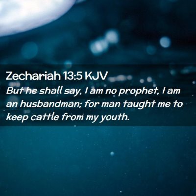 Picture 02 - Zechariah 13:5 KJV - But he shall say, I am no prophet, I am an - Bible Verse Picture
