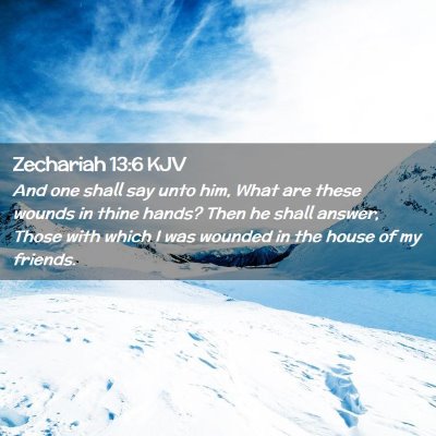 Picture 02 - Zechariah 13:6 KJV - And one shall say unto him, What are these wounds - Bible Verse Picture