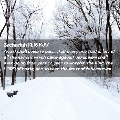 Picture 02 - Zechariah 14:16 KJV - And it shall come to pass, that every one that is - Bible Verse Picture