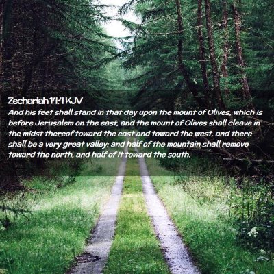 Picture 02 - Zechariah 14:4 KJV - And his feet shall stand in that day upon the - Bible Verse Picture