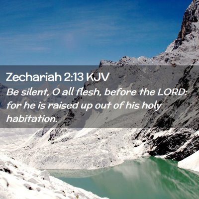 Picture 02 - Zechariah 2:13 KJV - Be silent, O all flesh, before the LORD: for he - Bible Verse Picture