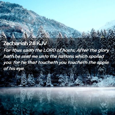 Picture 02 - Zechariah 2:8 KJV - For thus saith the LORD of hosts; After the glory - Bible Verse Picture