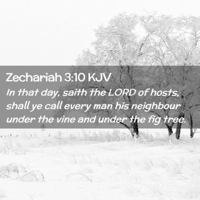Picture 02 - Zechariah 3:10 KJV - In that day, saith the LORD of hosts, shall ye - Bible Verse Picture