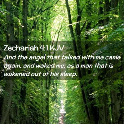 Picture 02 - Zechariah 4:1 KJV - And the angel that talked with me came again, and - Bible Verse Picture