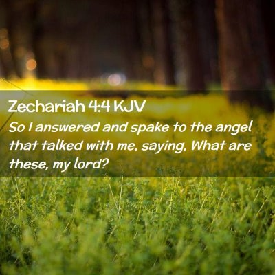 Picture 02 - Zechariah 4:4 KJV - So I answered and spake to the angel that talked - Bible Verse Picture