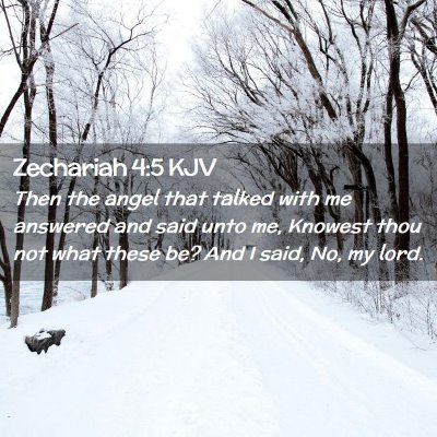 Picture 02 - Zechariah 4:5 KJV - Then the angel that talked with me answered and - Bible Verse Picture