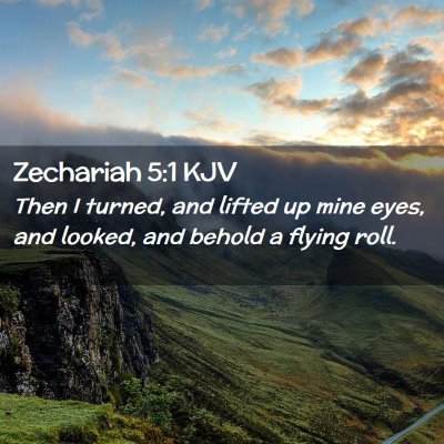 Picture 02 - Zechariah 5:1 KJV - Then I turned, and lifted up mine eyes, and - Bible Verse Picture