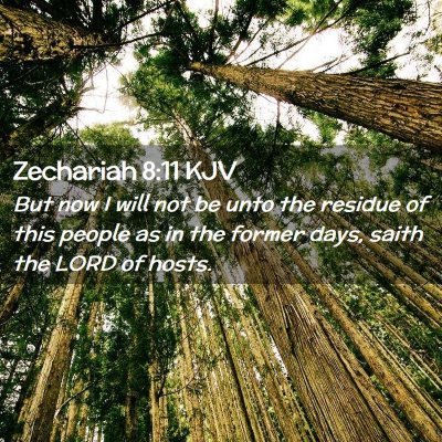 Picture 02 - Zechariah 8:11 KJV - But now I will not be unto the residue of this - Bible Verse Picture